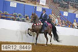 14r12_8449 thumbnail