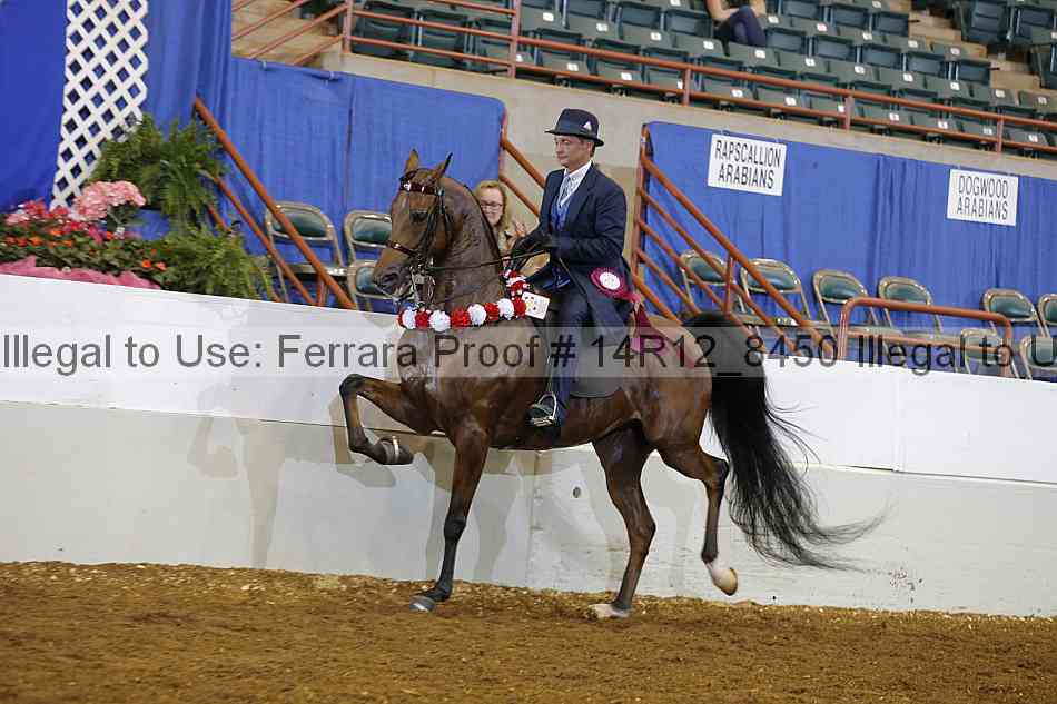 Proof Number 14r12_8450