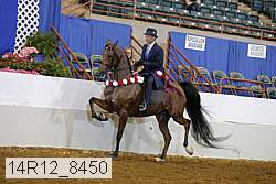 14r12_8450 thumbnail