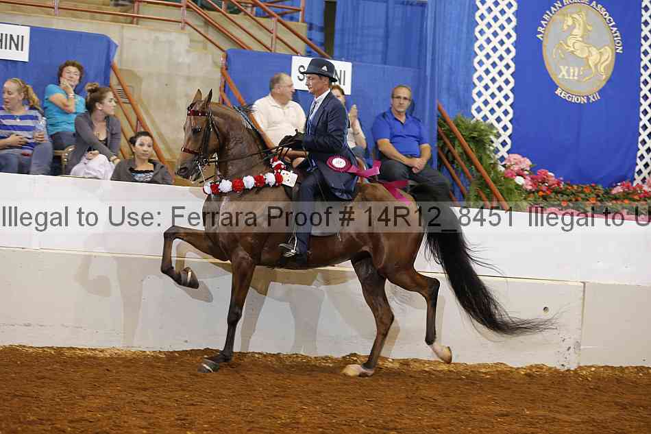 Proof Number 14r12_8451
