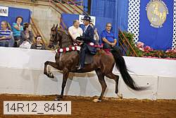 14r12_8451 thumbnail