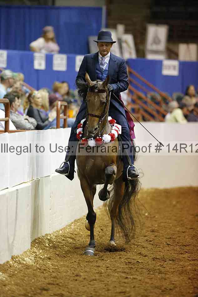 Proof Number 14r12_8452