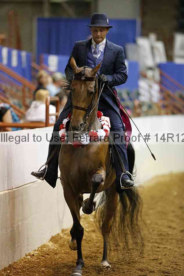 Proof Number 14r12_8453