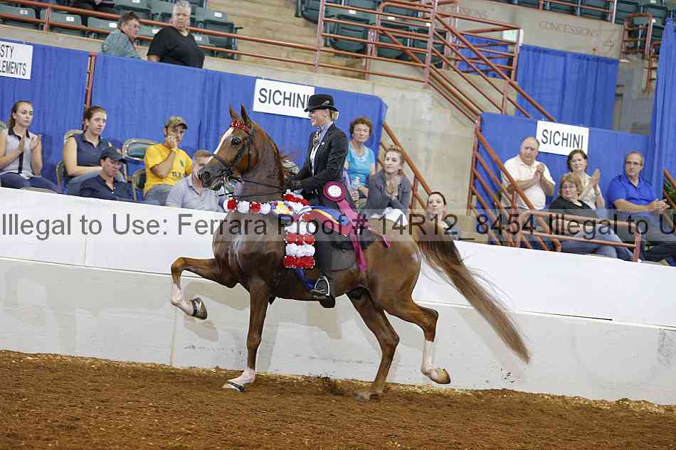 Proof Number 14r12_8454