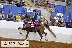 14r12_8454 thumbnail