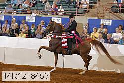 14r12_8455 thumbnail