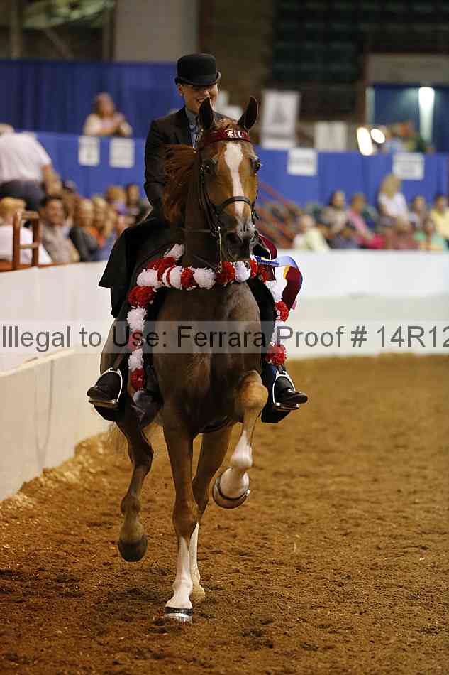 Proof Number 14r12_8456