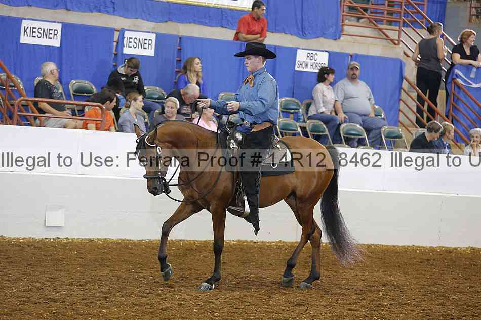 Proof Number 14r12_8462
