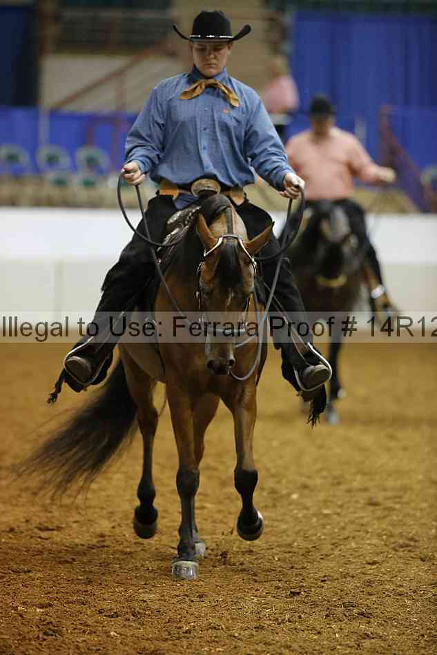 Proof Number 14r12_8472