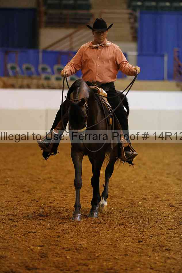 Proof Number 14r12_8475