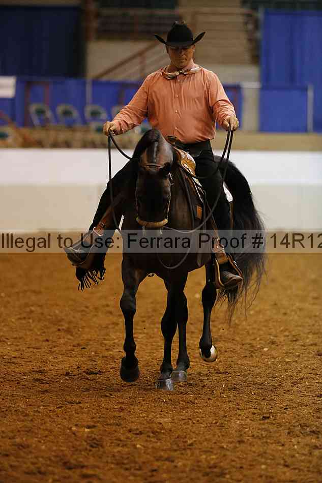Proof Number 14r12_8476