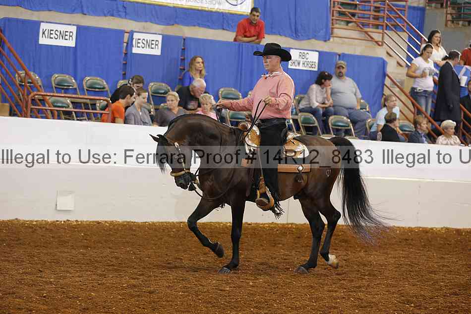 Proof Number 14r12_8483