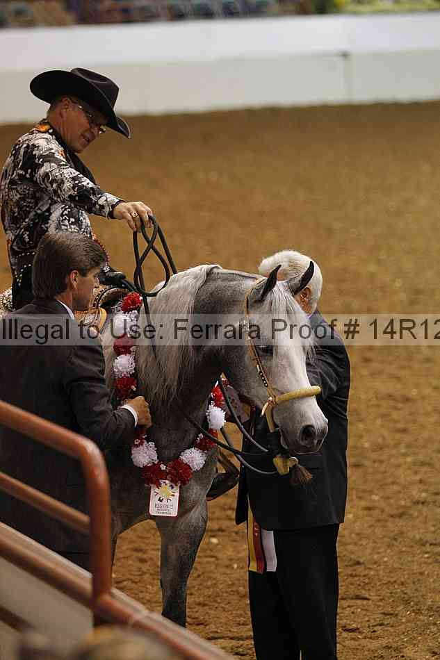 Proof Number 14r12_8485