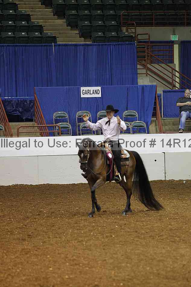 Proof Number 14r12_8494