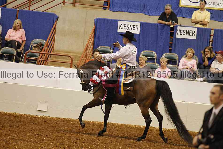 Proof Number 14r12_8505