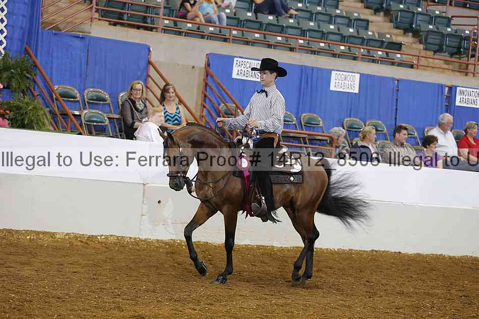 Proof Number 14r12_8506
