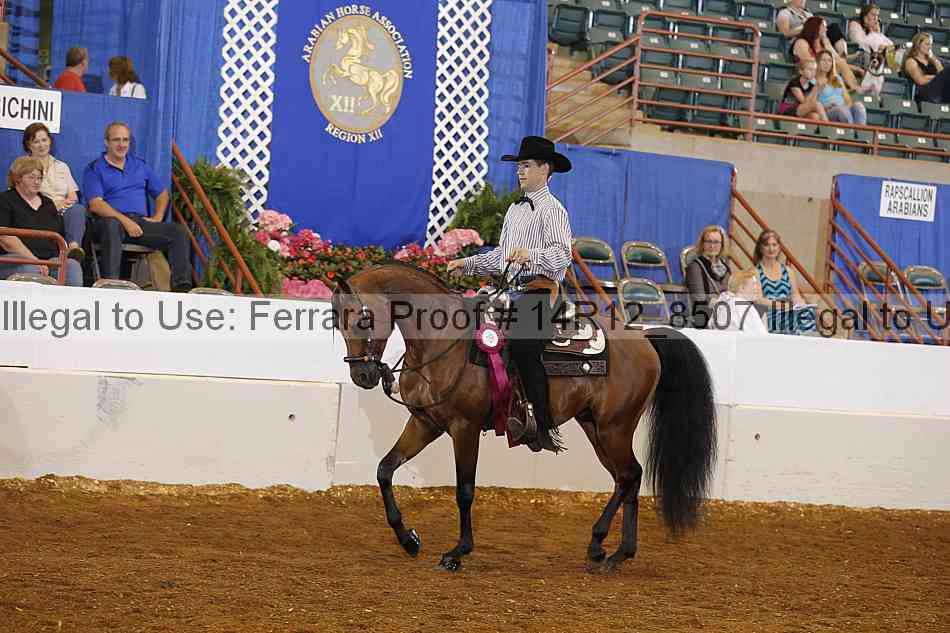Proof Number 14r12_8507