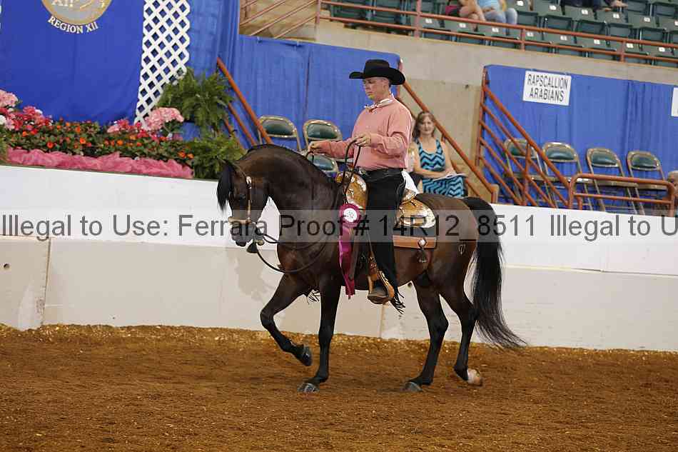 Proof Number 14r12_8511