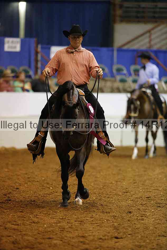 Proof Number 14r12_8515