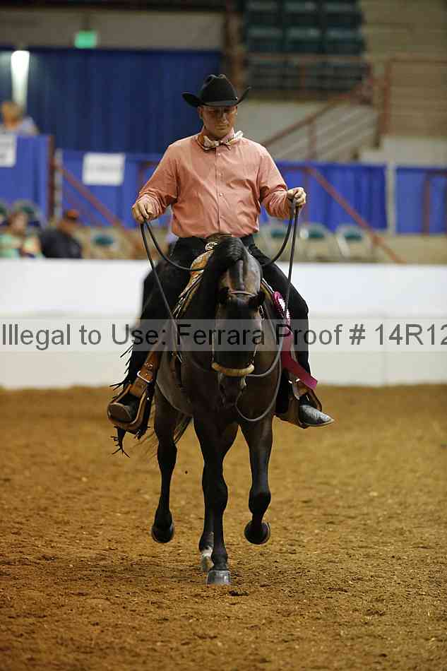 Proof Number 14r12_8516
