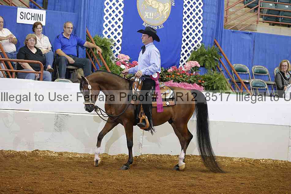 Proof Number 14r12_8517