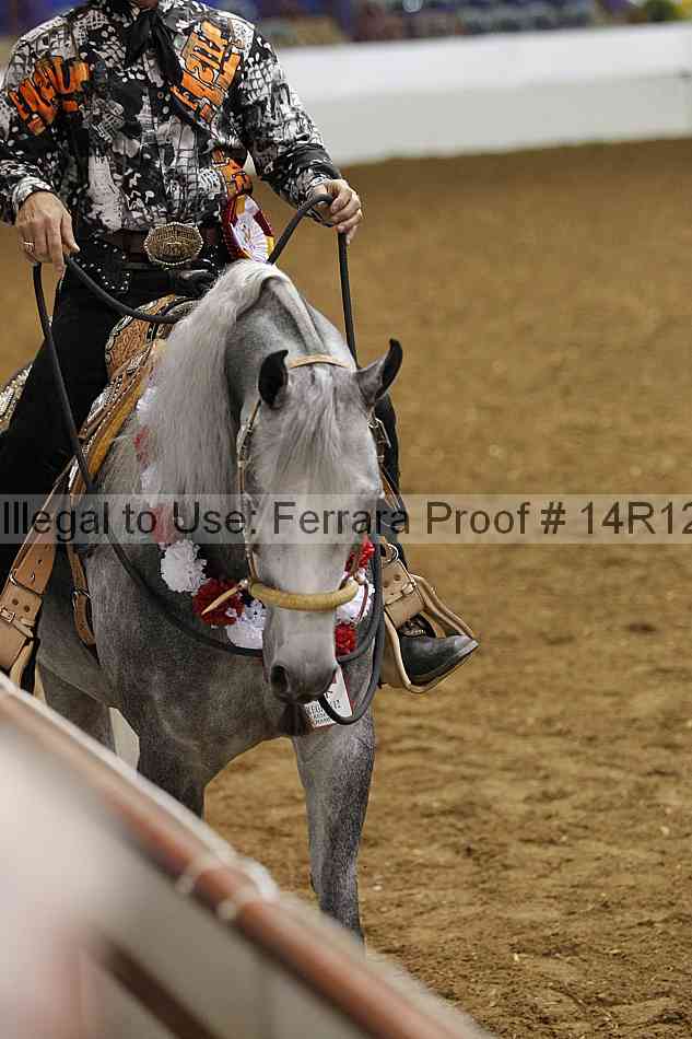 Proof Number 14r12_8521