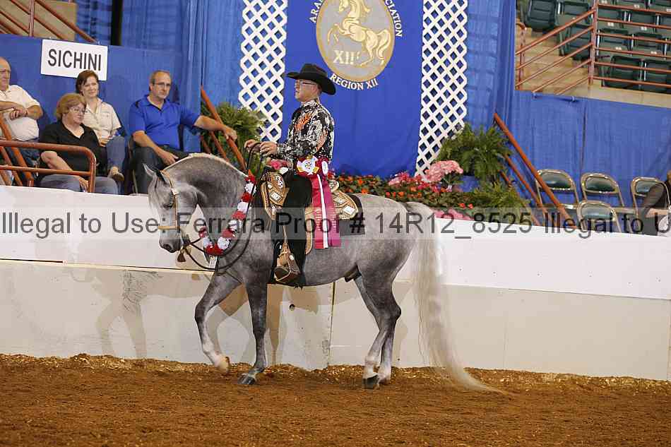 Proof Number 14r12_8525
