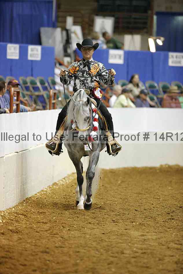 Proof Number 14r12_8526