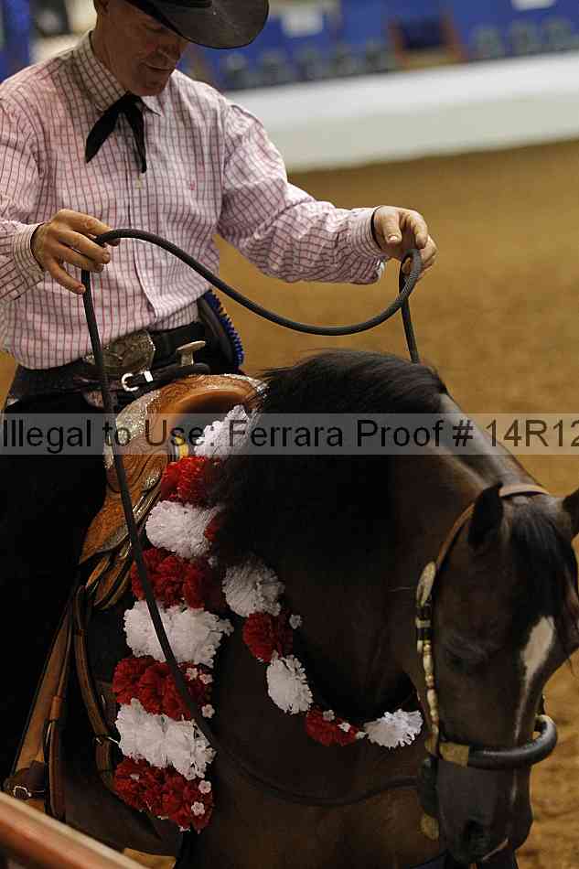 Proof Number 14r12_8532
