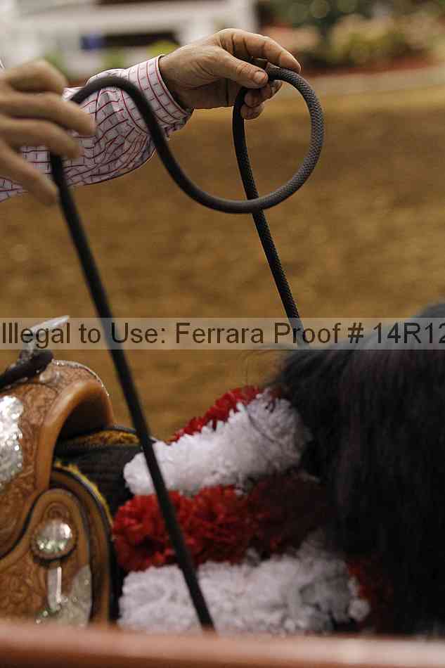 Proof Number 14r12_8536