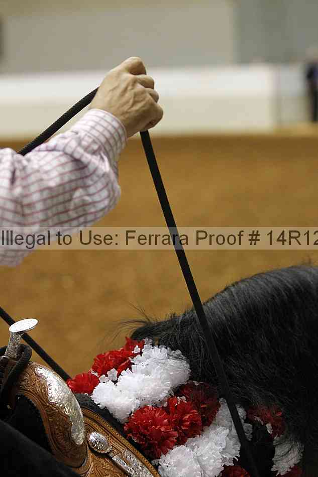 Proof Number 14r12_8538
