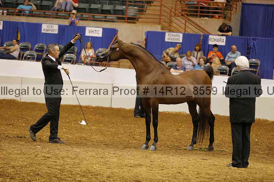 Proof Number 14r12_8559