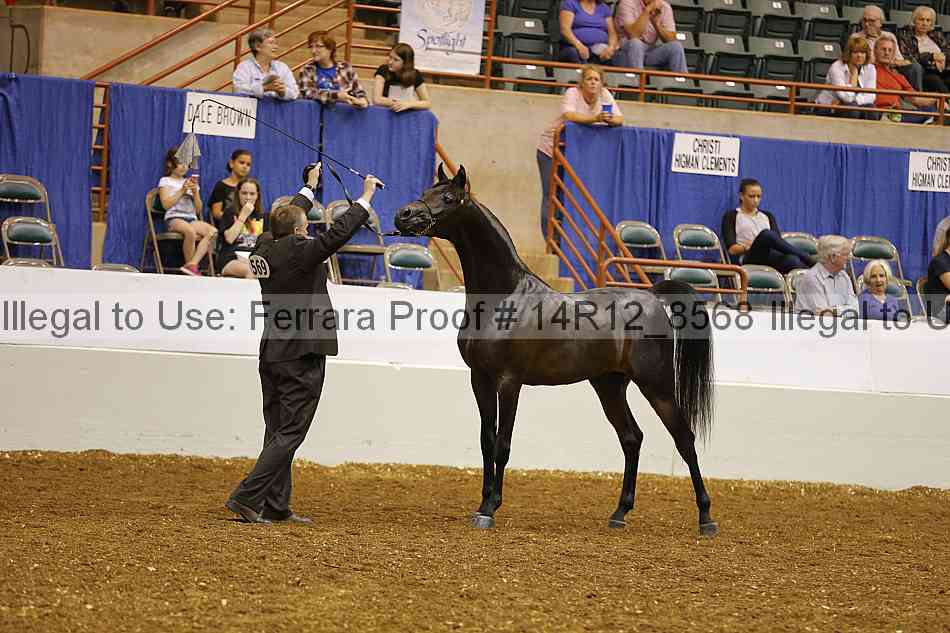 Proof Number 14r12_8568