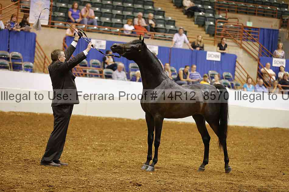 Proof Number 14r12_8570