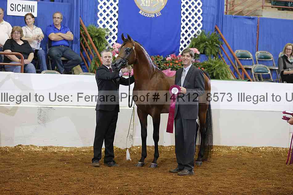Proof Number 14r12_8573