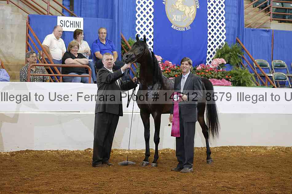 Proof Number 14r12_8579