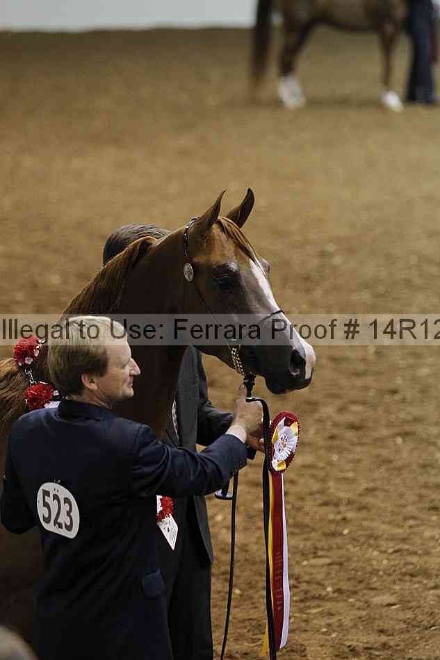 Proof Number 14r12_8581