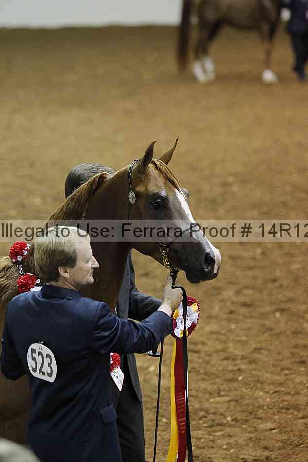 Proof Number 14r12_8582