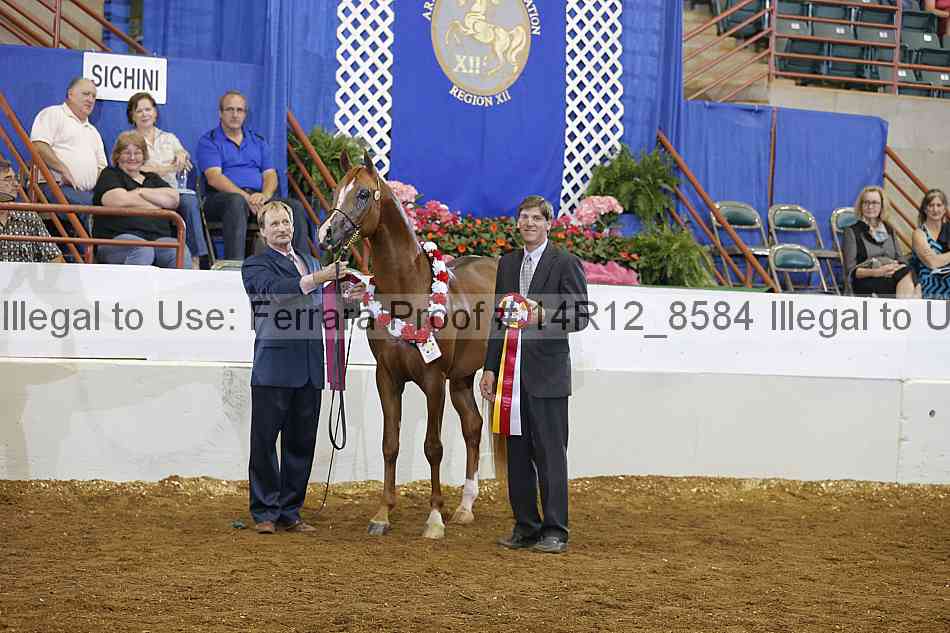 Proof Number 14r12_8584