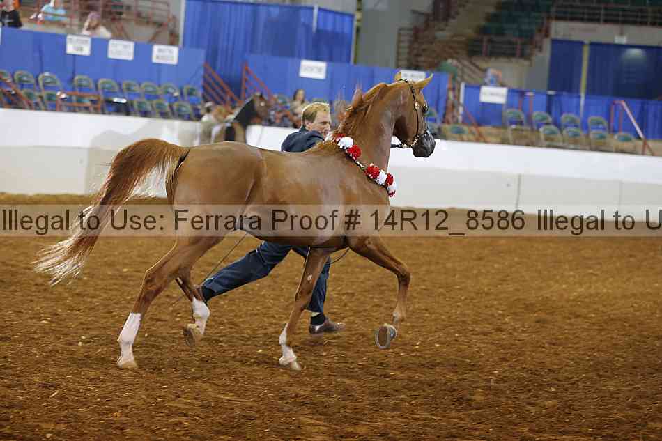 Proof Number 14r12_8586