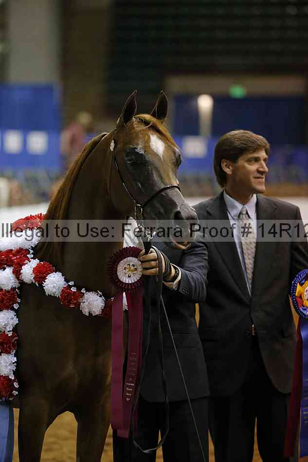 Proof Number 14r12_8596