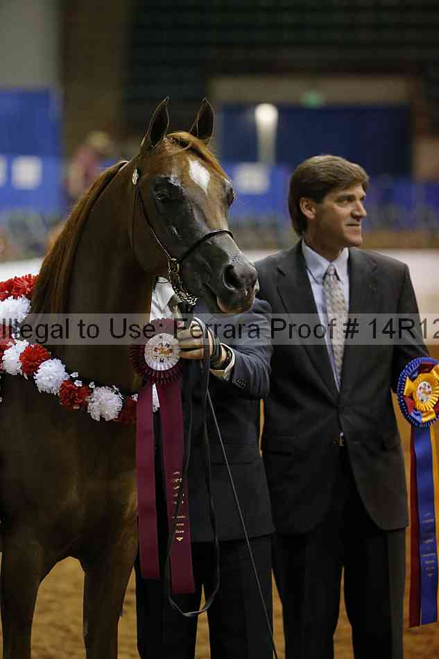 Proof Number 14r12_8598