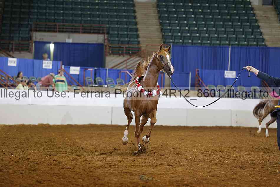 Proof Number 14r12_8601