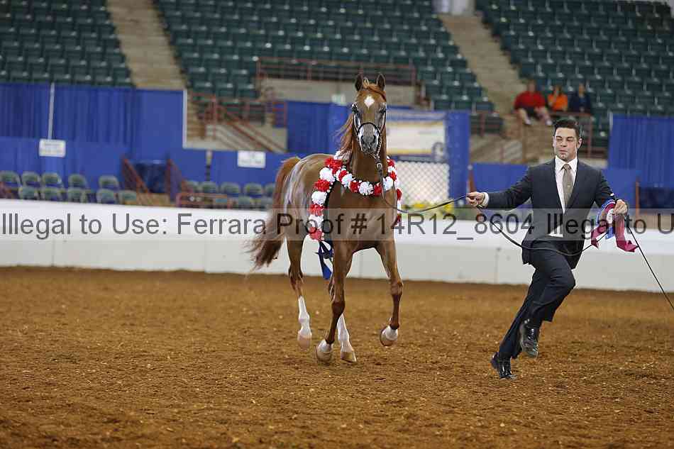 Proof Number 14r12_8604
