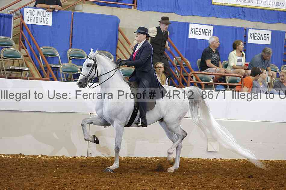 Proof Number 14r12_8671