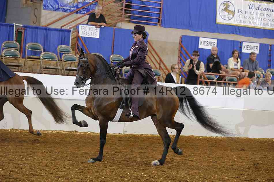 Proof Number 14r12_8674