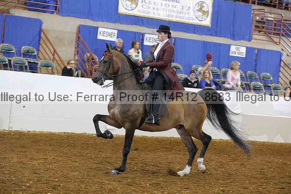 Proof Number 14r12_8683