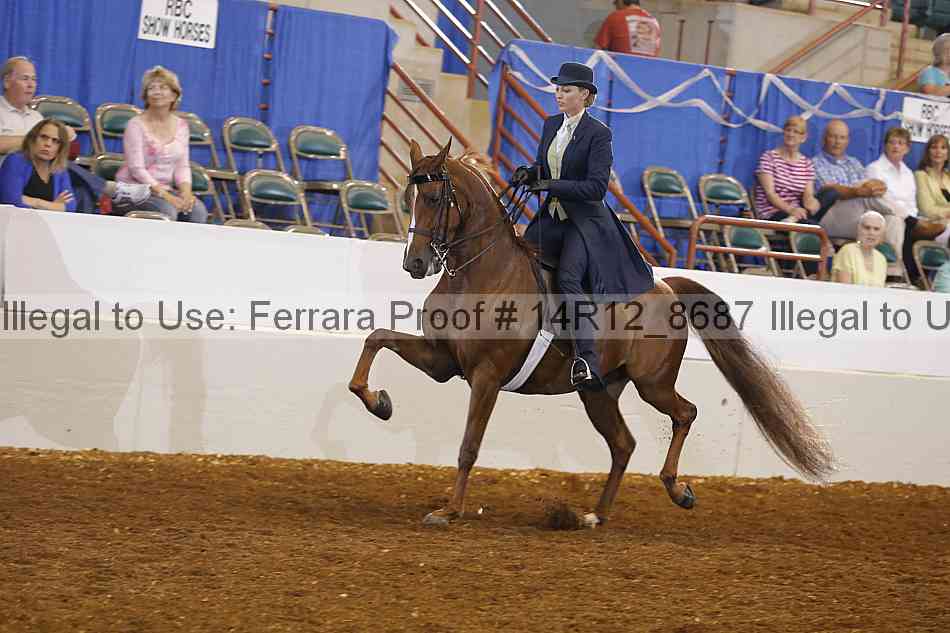 Proof Number 14r12_8687