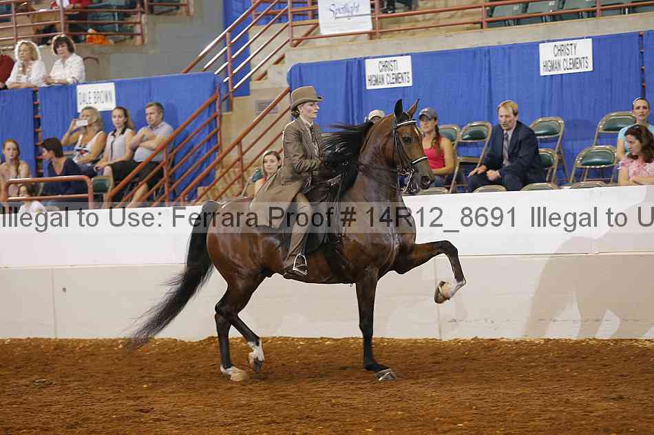 Proof Number 14r12_8691