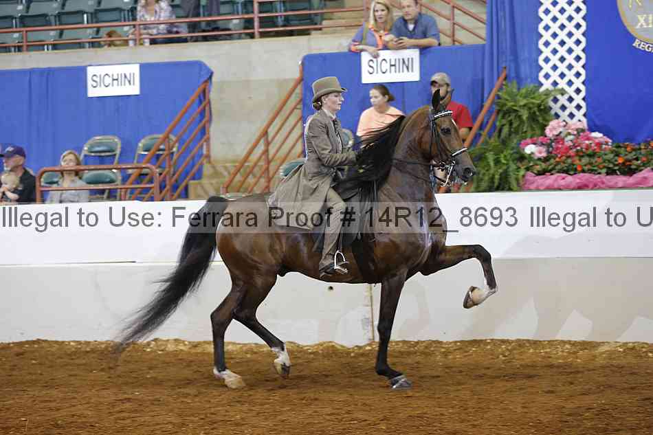 Proof Number 14r12_8693